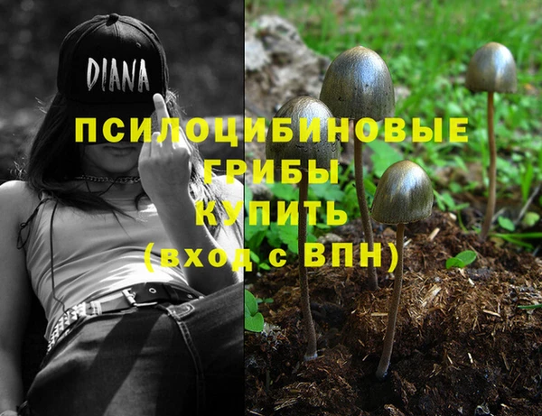 стафф Балабаново