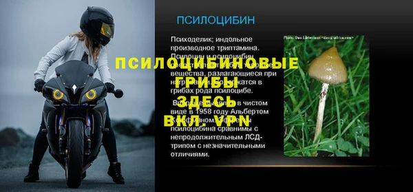 ПСИЛОЦИБИНОВЫЕ ГРИБЫ Беломорск