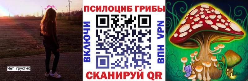 Галлюциногенные грибы MAGIC MUSHROOMS  кракен tor  Гремячинск 